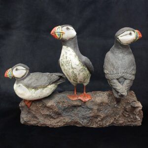 Puffins