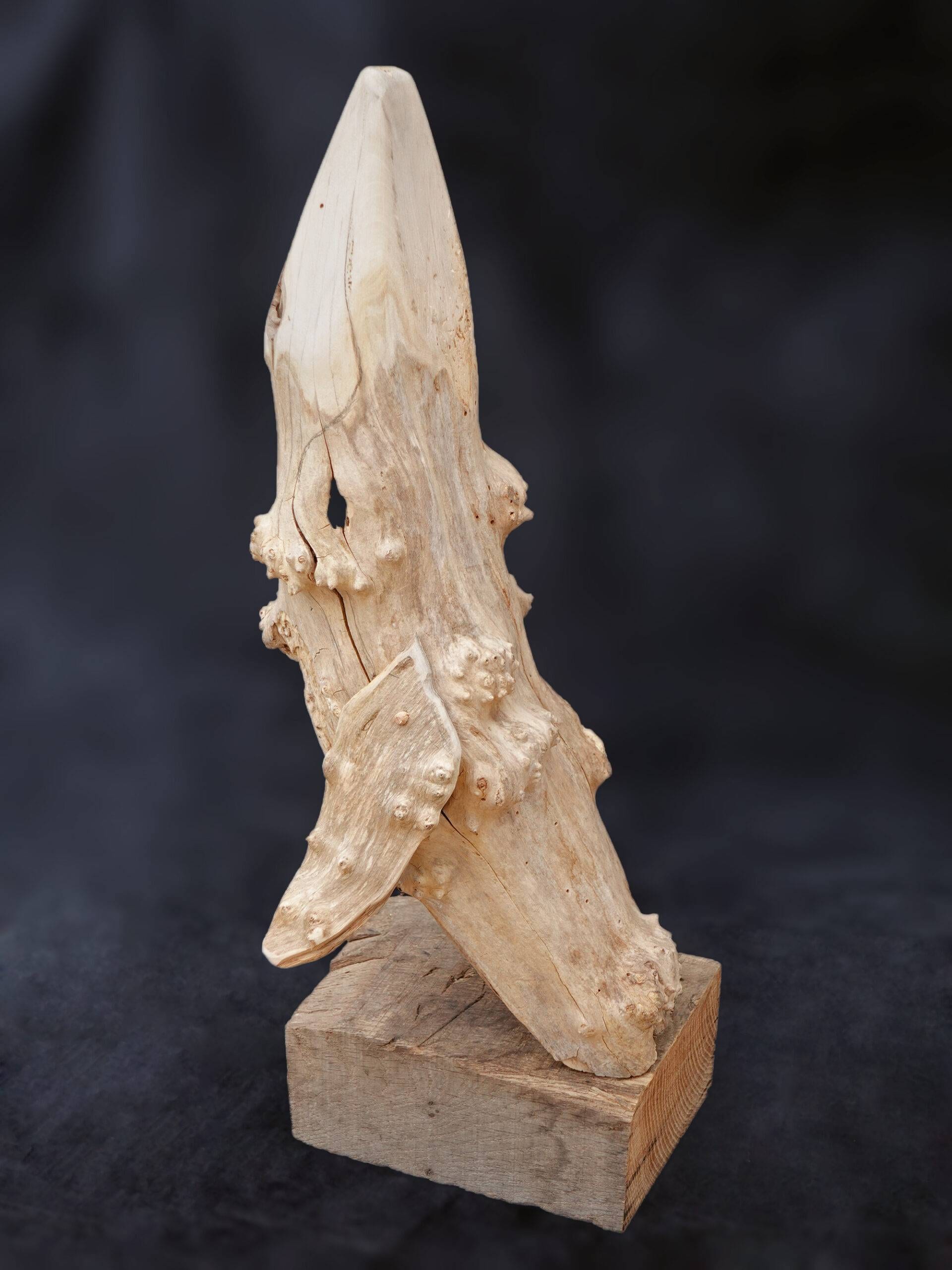 Breaching Humpback - Image 2