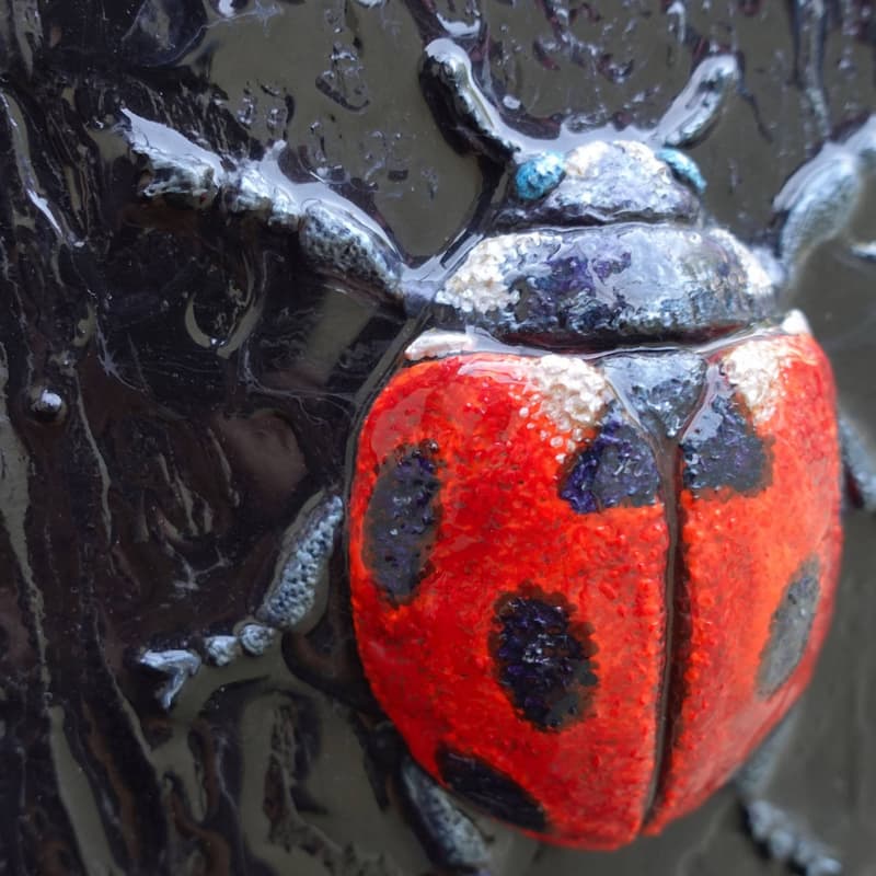 Ladybird - Image 2