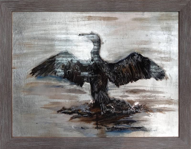 Cormorant - Image 2
