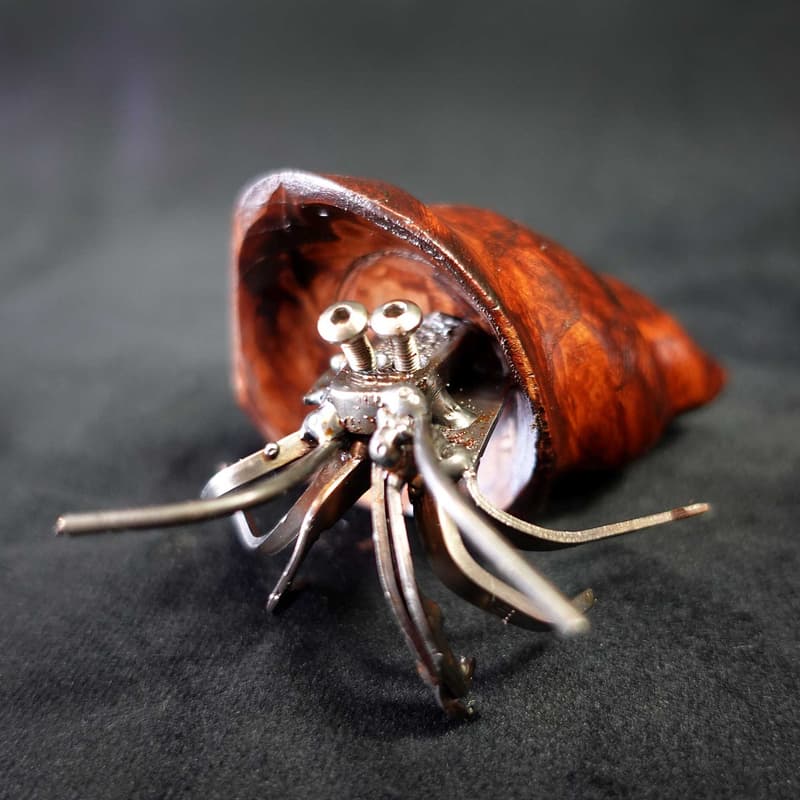 Mini Hermit Crab #1 - Image 2