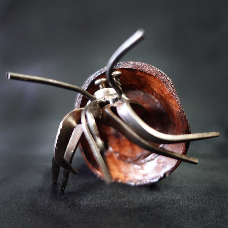 Mini Hermit Crab #2 - Image 2