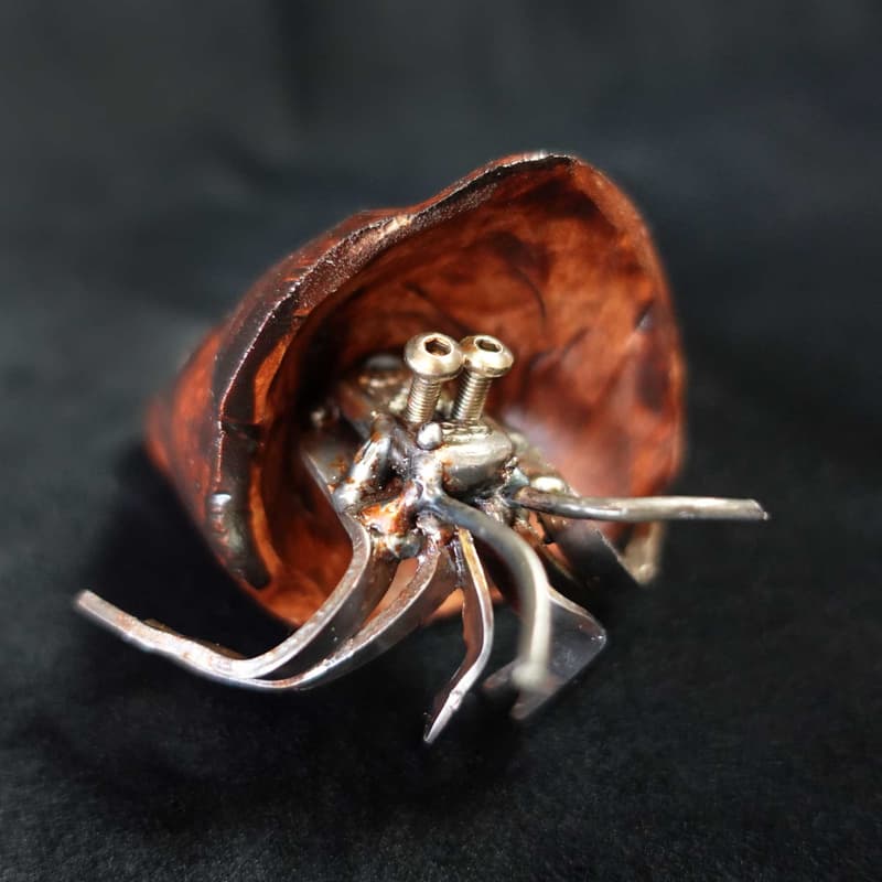 Mini Hermit Crab #3