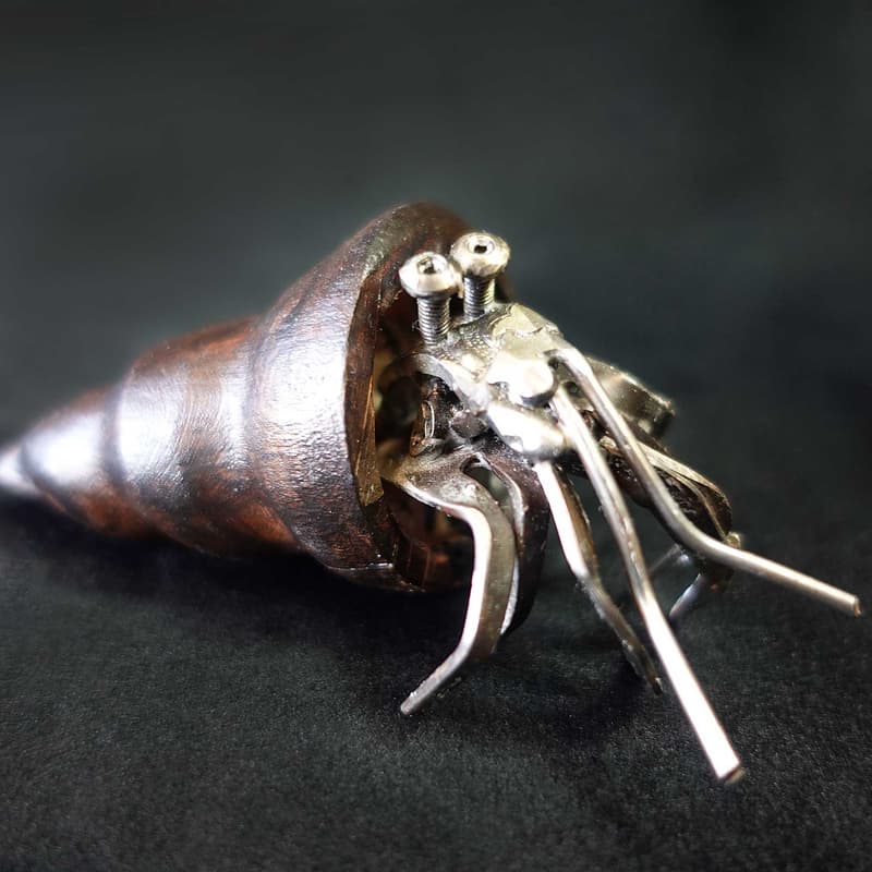 Mini Hermit Crab #4