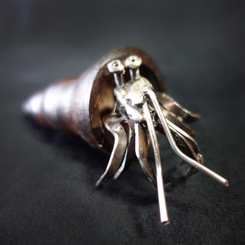 Mini Hermit Crab #4 - Image 2