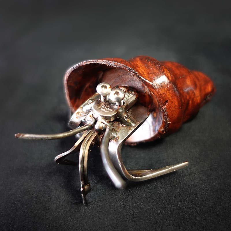 Mini Hermit Crab #5