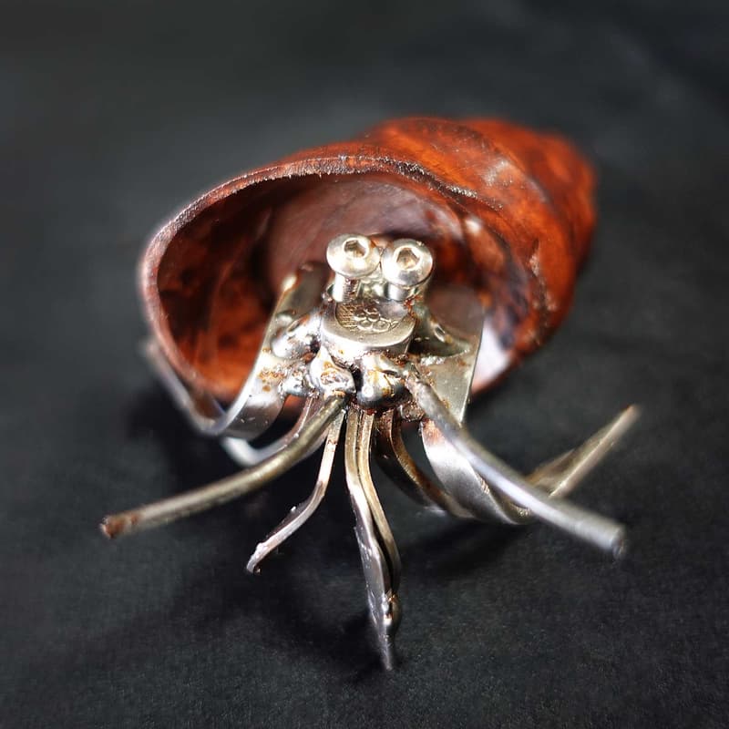 Mini Hermit Crab #5 - Image 2