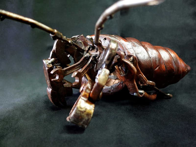 Large Hermit Crab - Image 2